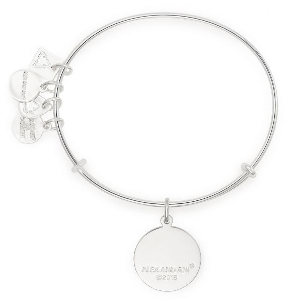 Alex and ani never give up 2025