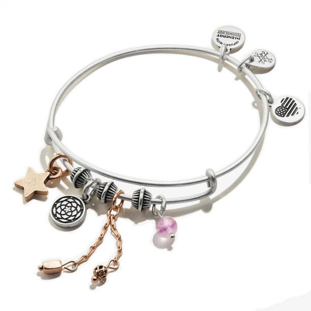 Alex and Ani New Beginnings Cluster Charm Bangle Bracelet Rafaelian Silver Finish REEDS Jewelers