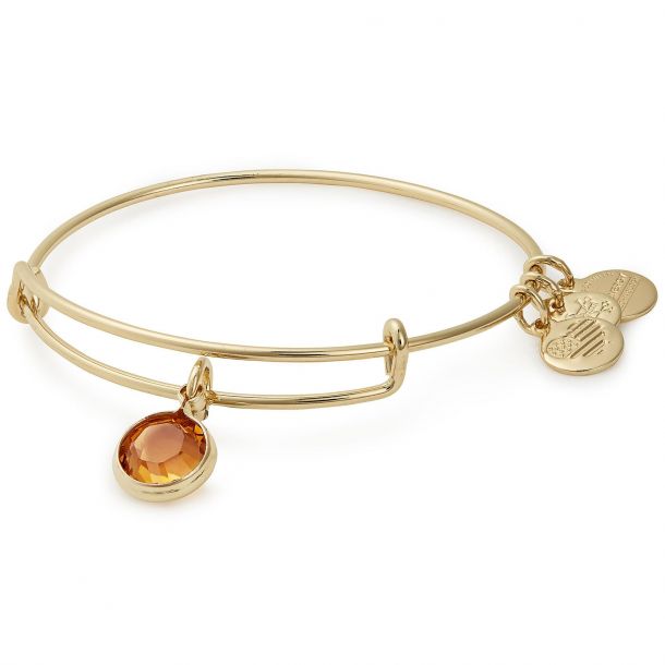 Alex and ani women's on sale birthstone charm bangle