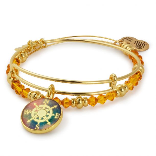 Alex and ani discount mens compass bracelet