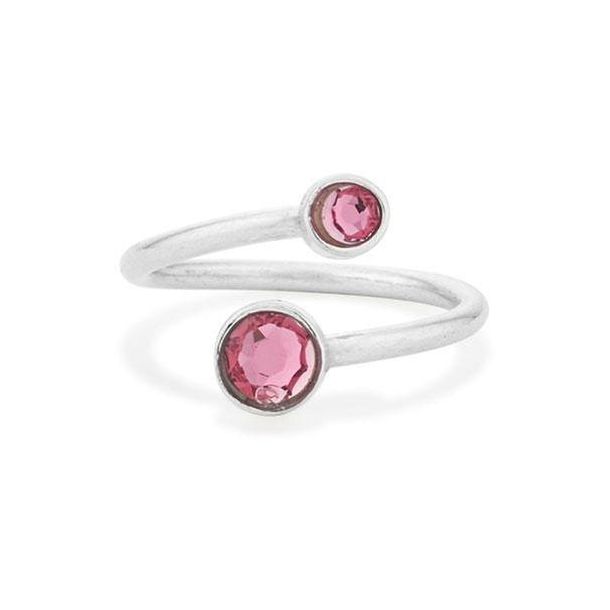 Alex boigjt and ani 925 ring
