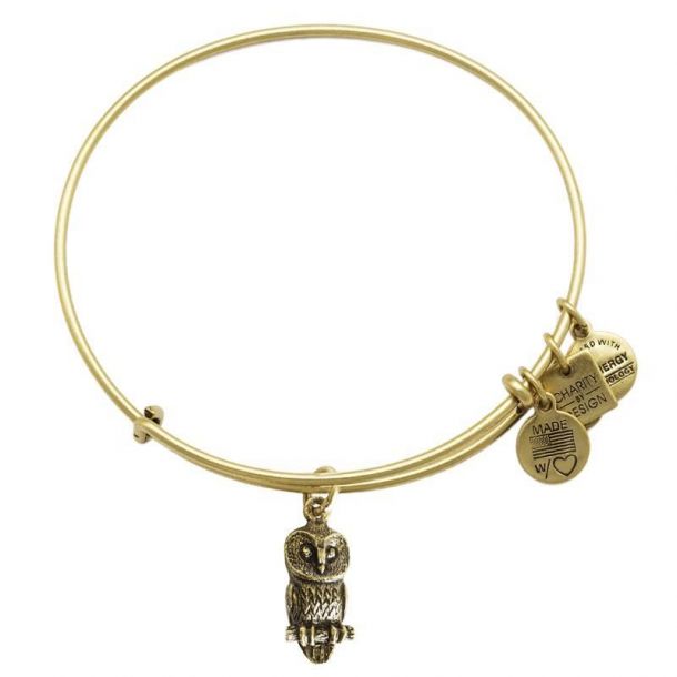 Alex and ani owl bracelet outlet