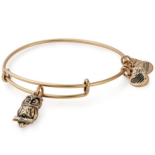 Alex and Ani Owl Charm Bangle Bracelet Rafaelian Gold Finish