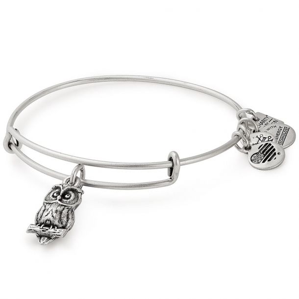 Alex and Ani Owl Charm Bangle Bracelet Rafaelian Silver Finish