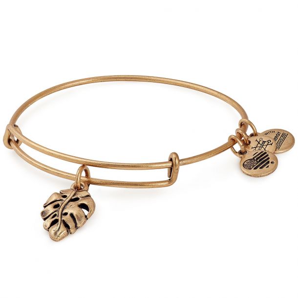 Alex and Ani Palm Leaf Charm Bangle Bracelet Rafaelian Gold Finish REEDS Jewelers