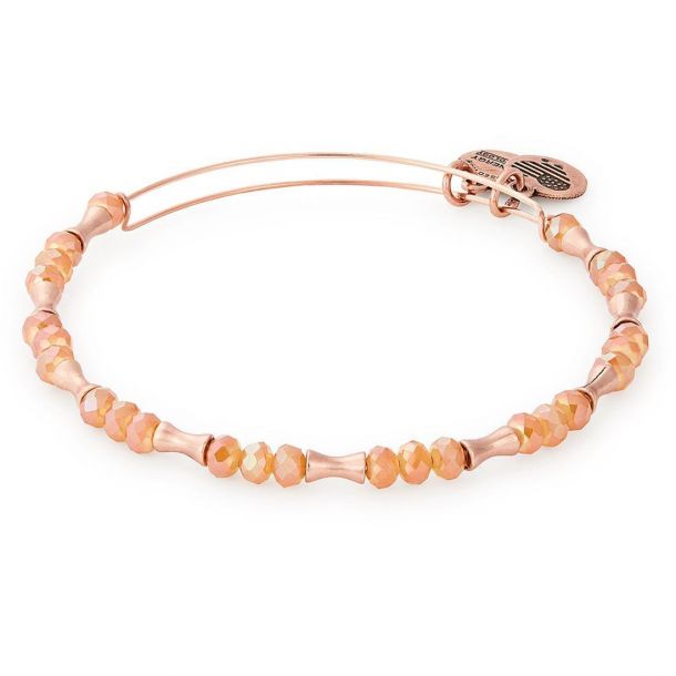 Alex and ani beaded bangle sales