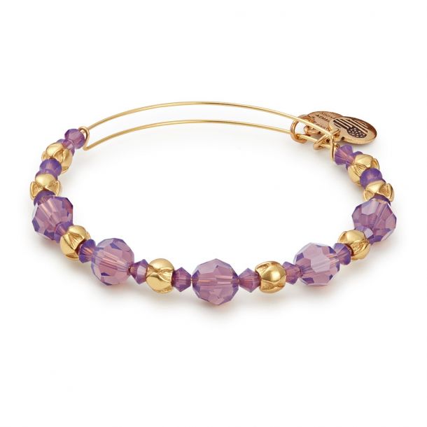 Alex and ani amethyst bracelet on sale