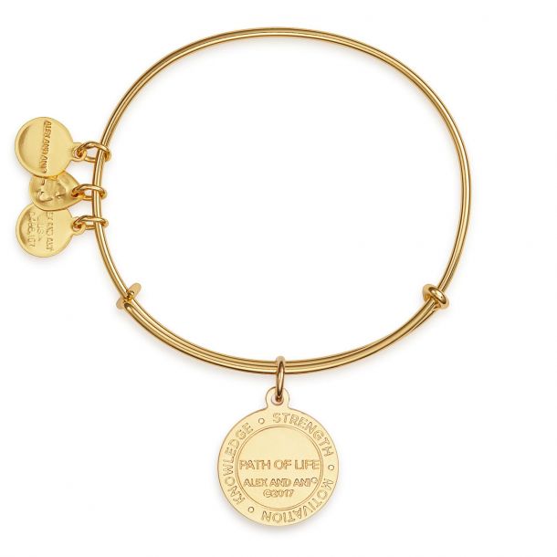 Path of life new arrivals color infusion charm bangle