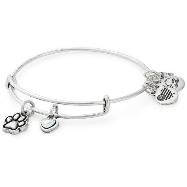 Alex and Ani Paw Print Duo Charm Bangle Bracelet Shiny Silver Finish