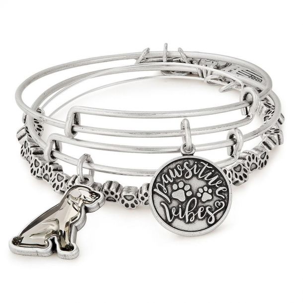 Pawsitive vibes alex and ani hotsell
