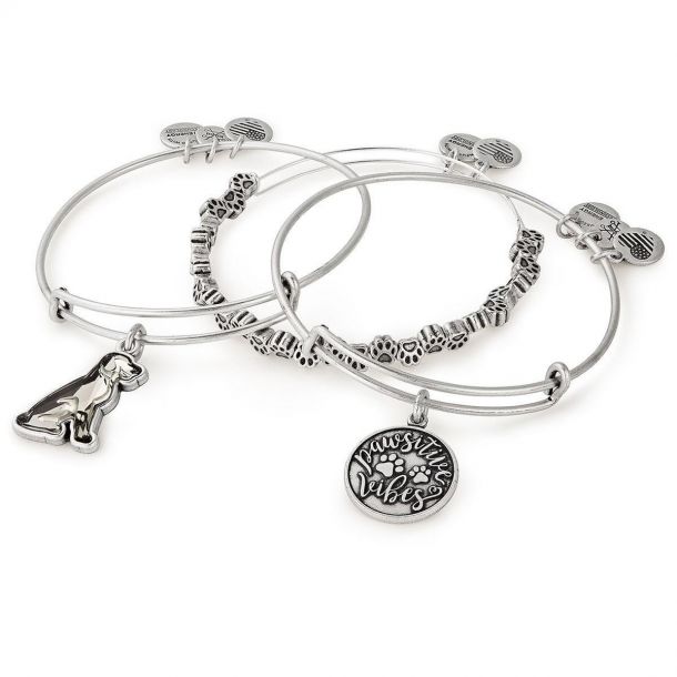 Pawsitive vibes alex and ani hotsell