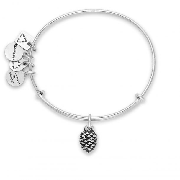 Alex and deals ani pinecone bracelet