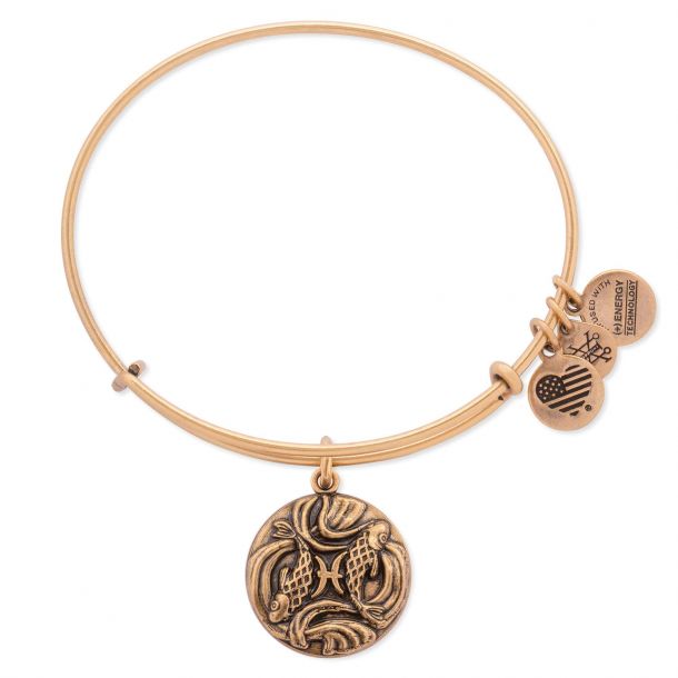 Alex and Ani Pisces Charm Bangle Rafaelian Gold Finish REEDS Jewelers
