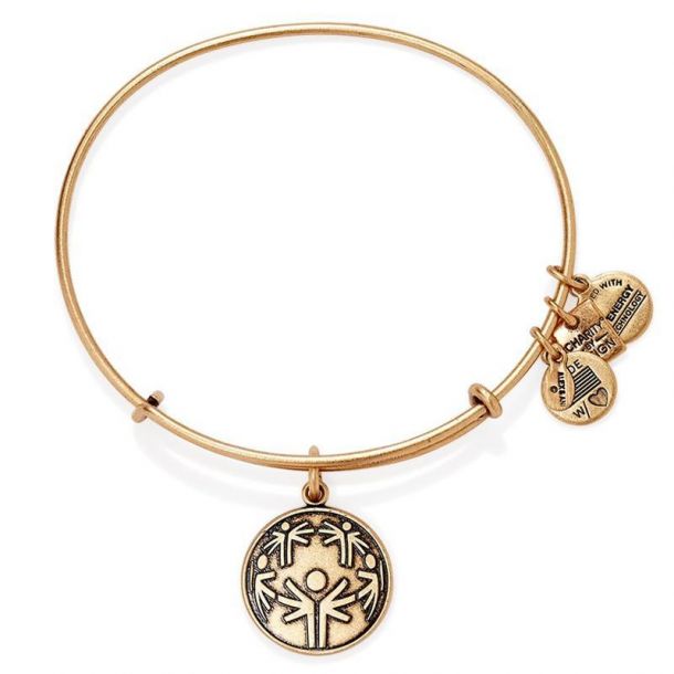 Alex and Ani Power of Unity Charm Bangle Rafaelian Gold Finish REEDS Jewelers