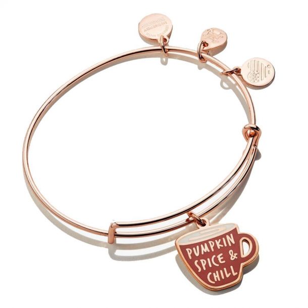 Alex and Ani Pumpkin Spice Color Infusion Charm Bangle Bracelet Shiny Rose Gold Finish