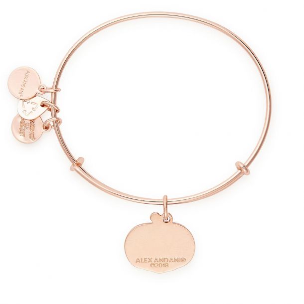 Alex and ani hot sale pumpkin spice bracelet