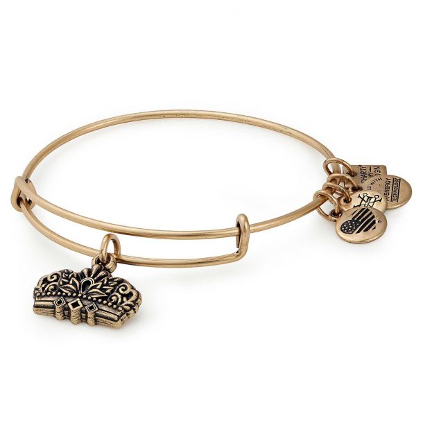 Alex and ani on sale she believed she could