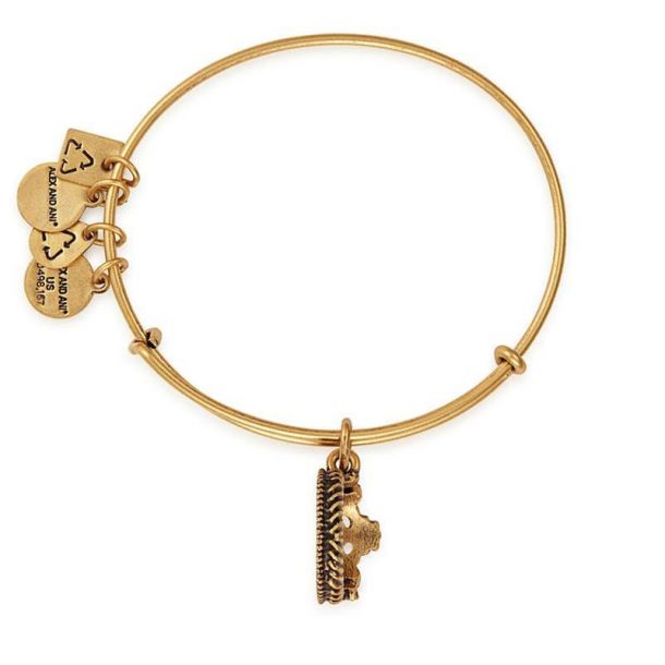 Alex and ani hotsell queen's crown bracelet