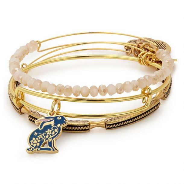Alex and ani rose cheap art infusion