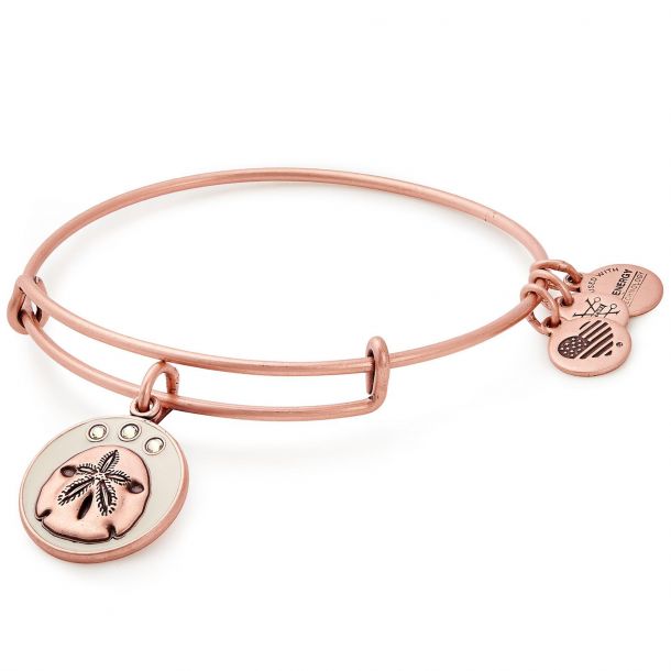 Alex and ani sales sand dollar bracelet