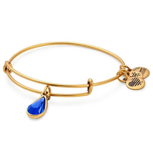 Alex and ani sales september bracelet