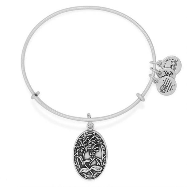 Alex and Ani Sister Charm Bangle Bracelet 2016 Rafaelian Silver Finish
