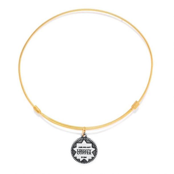 Liberty copper alex and ani top