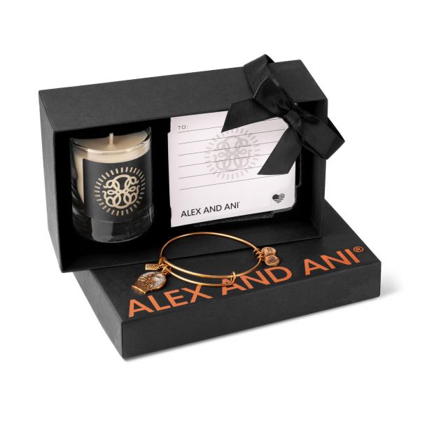 Alex and ani snow globe bracelet hotsell