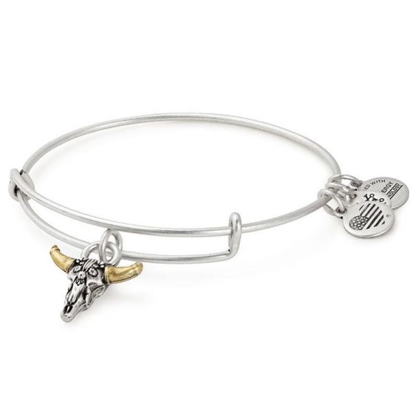 Alex and Ani Spirited Skull Charm Bangle Rafaelian Silver Finish