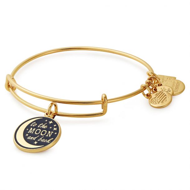 I love you to the moon and back alex and ani hotsell