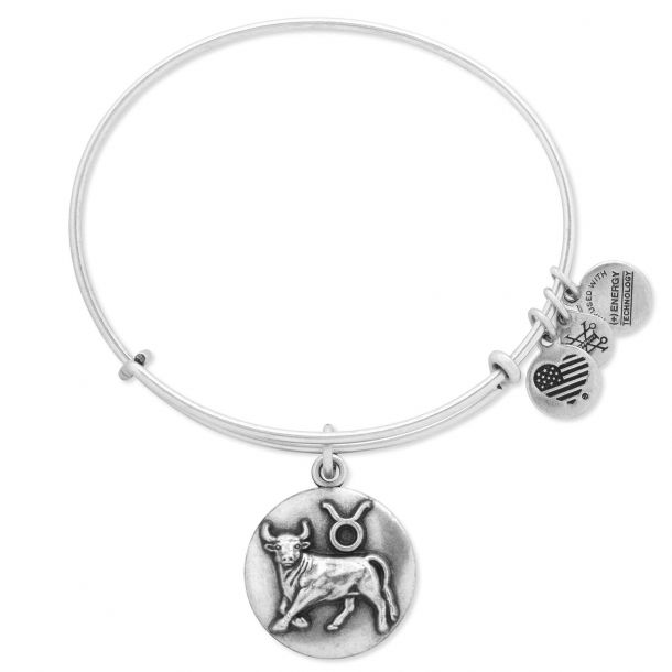 Alex and ani taurus top