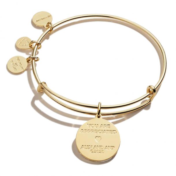 Alex and Ani Teacher Appreciation Charm Bangle Bracelet Shiny Gold Finish
