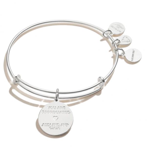 Alex and ani teacher on sale charm bracelet