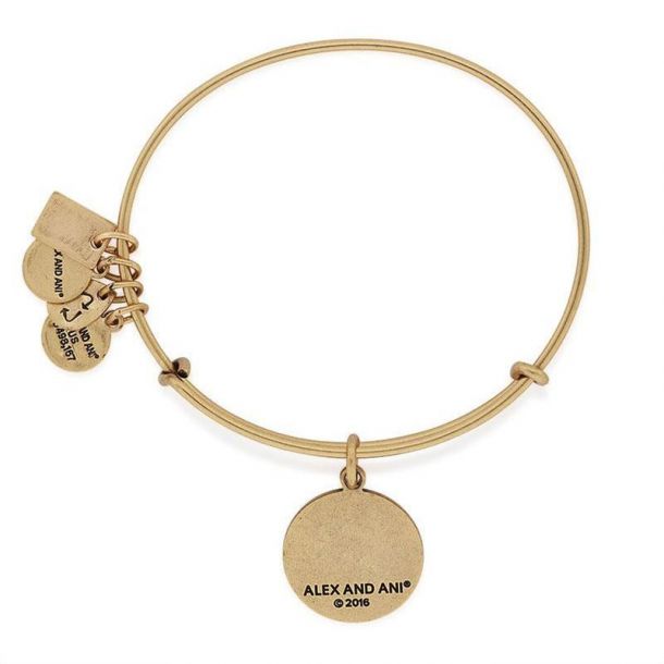Alex and Ani Team USA Gymnastics Charm Bangle Rafaelian Gold Finish