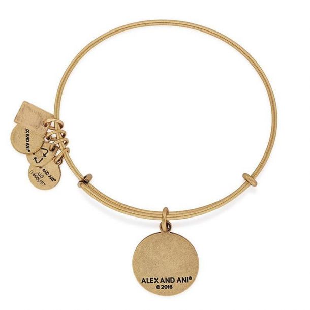 Alex and ani swimming bracelet clearance