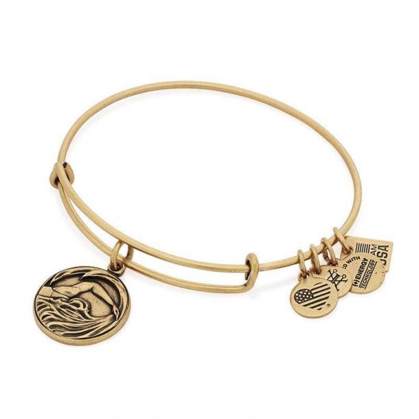 Alex and ani cheap swimming bracelet