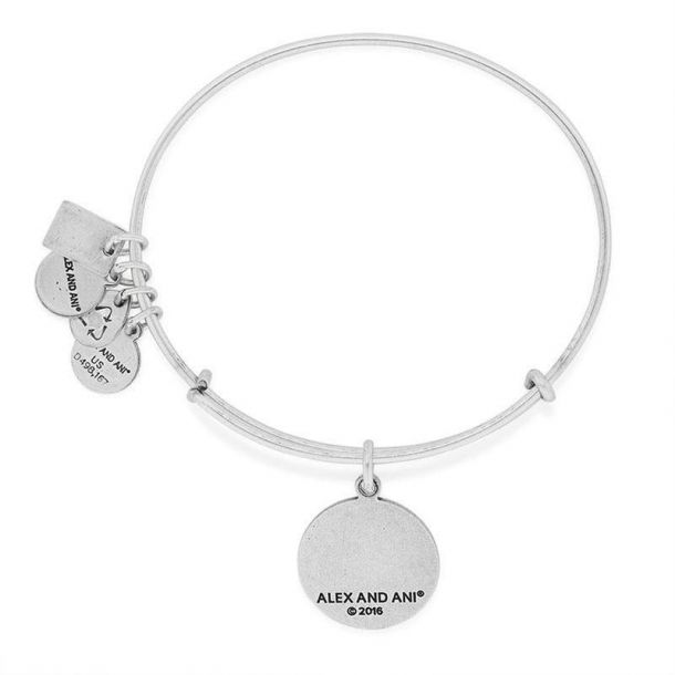 Alex and ani swimming bracelet top
