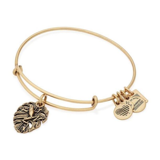 Alex and discount ani frog bracelet