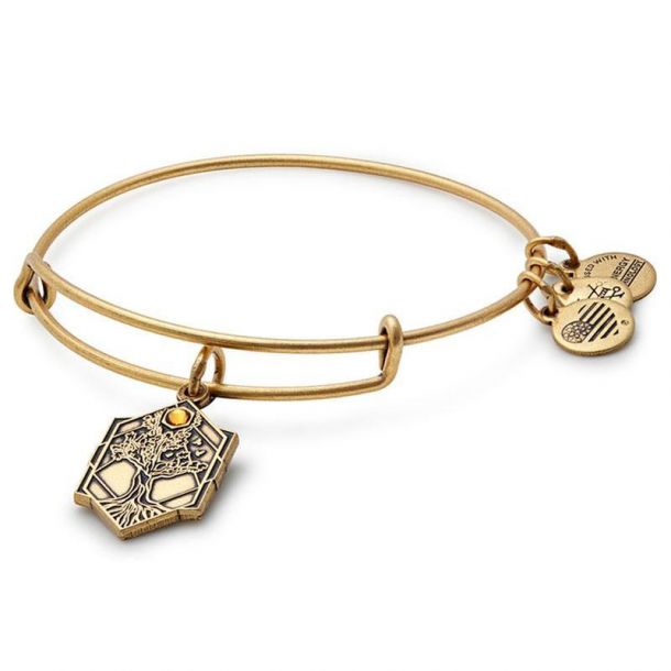 Alex and ani bereavement bracelet discount