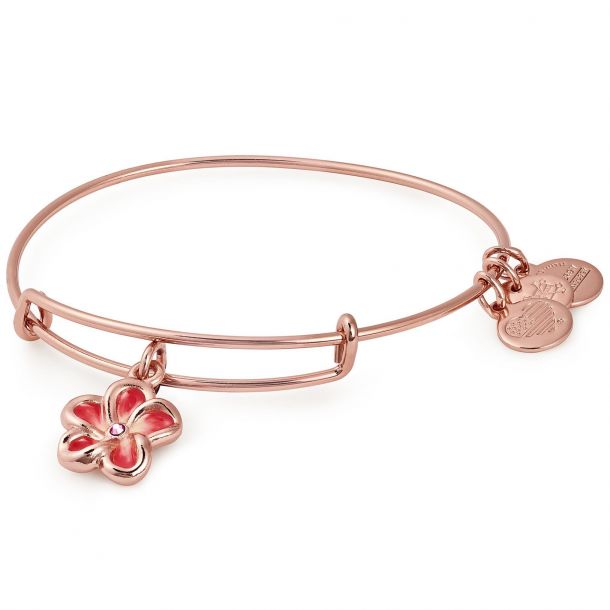 Alex and clearance ani rose bracelet