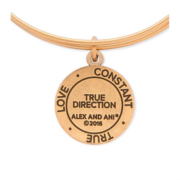 Alex and Ani True Direction Charm Bangle Bracelet Rafaelian Gold