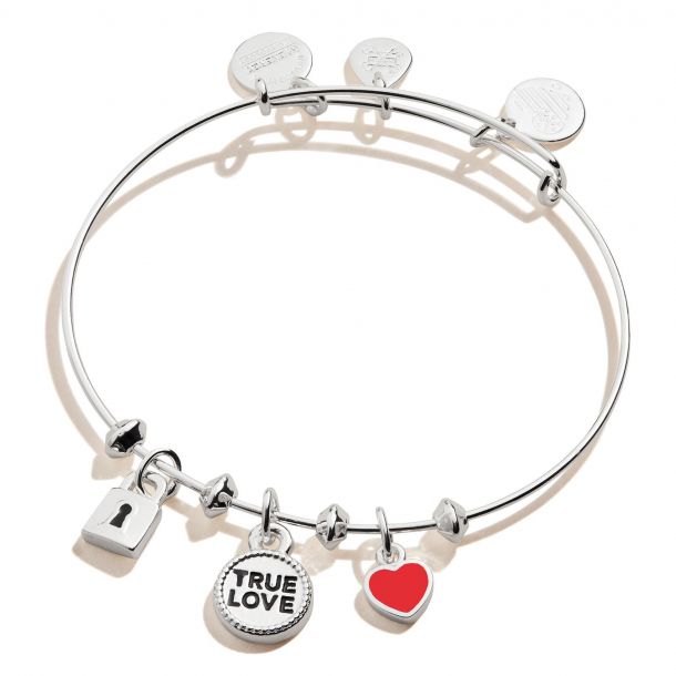 Key to love alex and sale ani