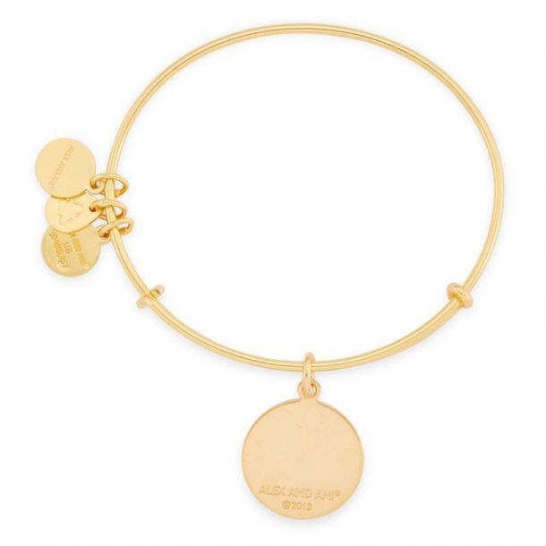 Alex and Ani U.S. Marine Corps Charm Bangle Shiny Gold Finish REEDS Jewelers
