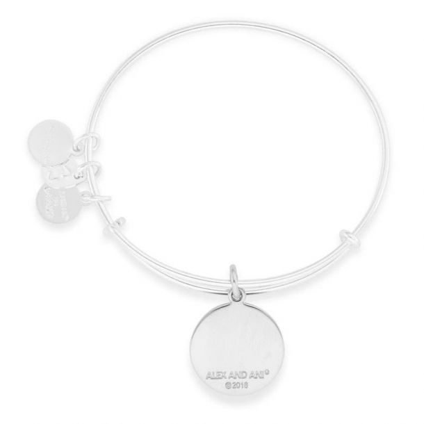 Alex and Ani U.S. Marine Corps Charm Bangle Shiny Silver Finish REEDS Jewelers