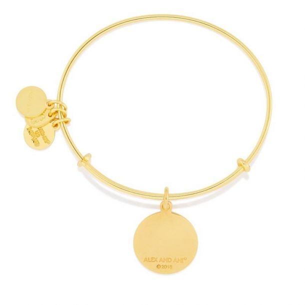 Alex and Ani U.S. Navy Charm Bangle Shiny Gold Finish