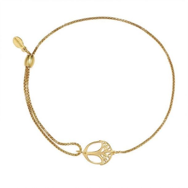 Alex and sales ani acorn bracelet