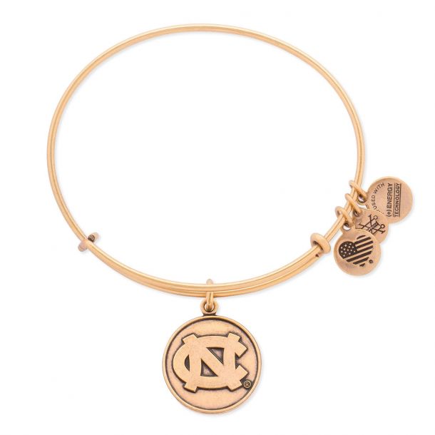 Alex and ani rafaelian gold discount