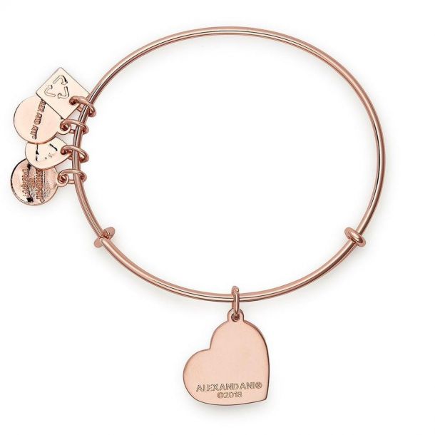 Warm hearts alex and ani outlet