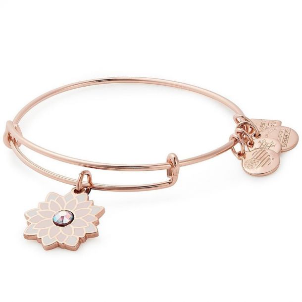 Alex and discount ani water bracelet