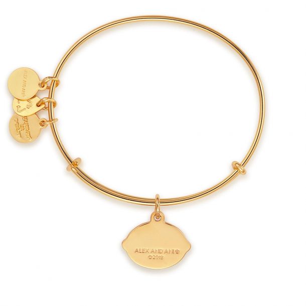 Alex and hotsell ani lemon bracelet